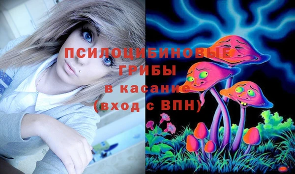 стафф Козельск