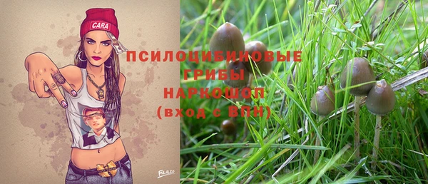 a pvp Коряжма
