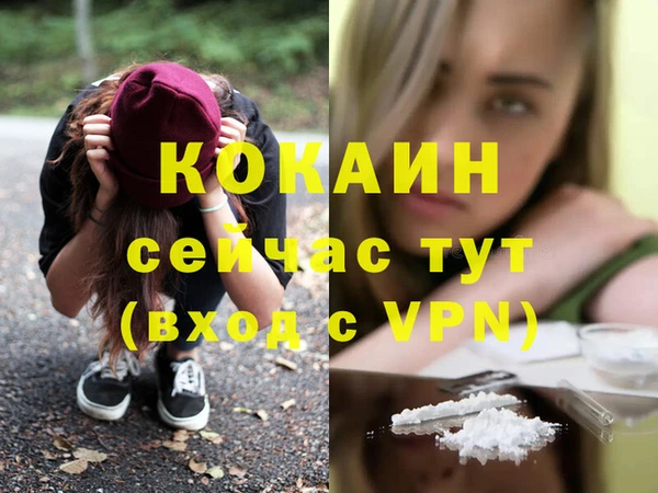 a pvp Коряжма
