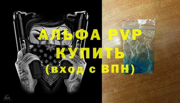 a pvp Коряжма