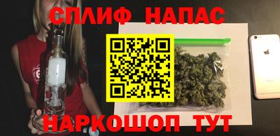 a pvp Дубна