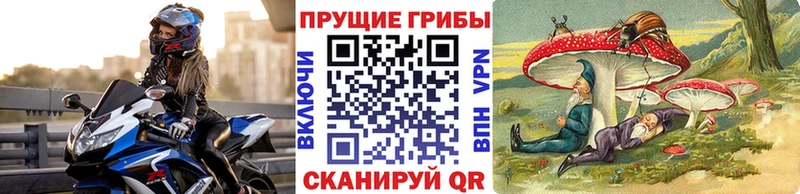 Галлюциногенные грибы Psilocybine cubensis Кохма