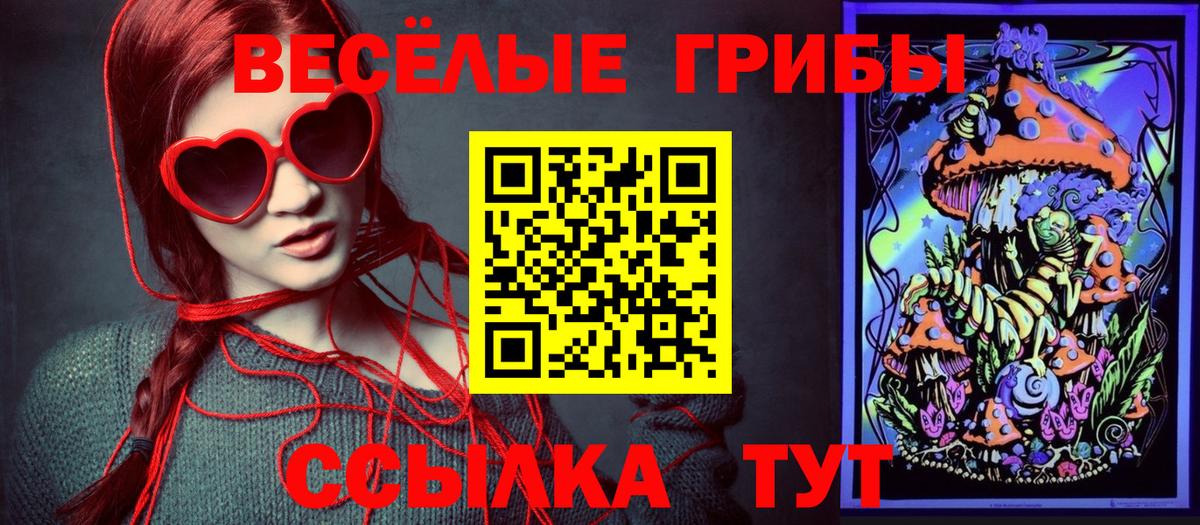 Псилоцибиновые грибы GOLDEN TEACHER  Вход с VPN  Кохма 