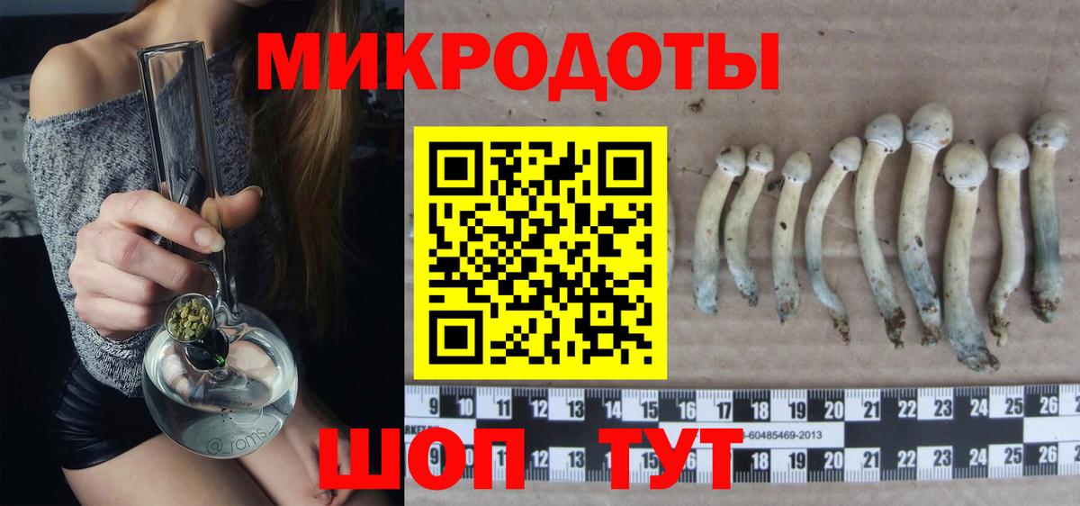 Галлюциногенные грибы Psilocybe Кохма